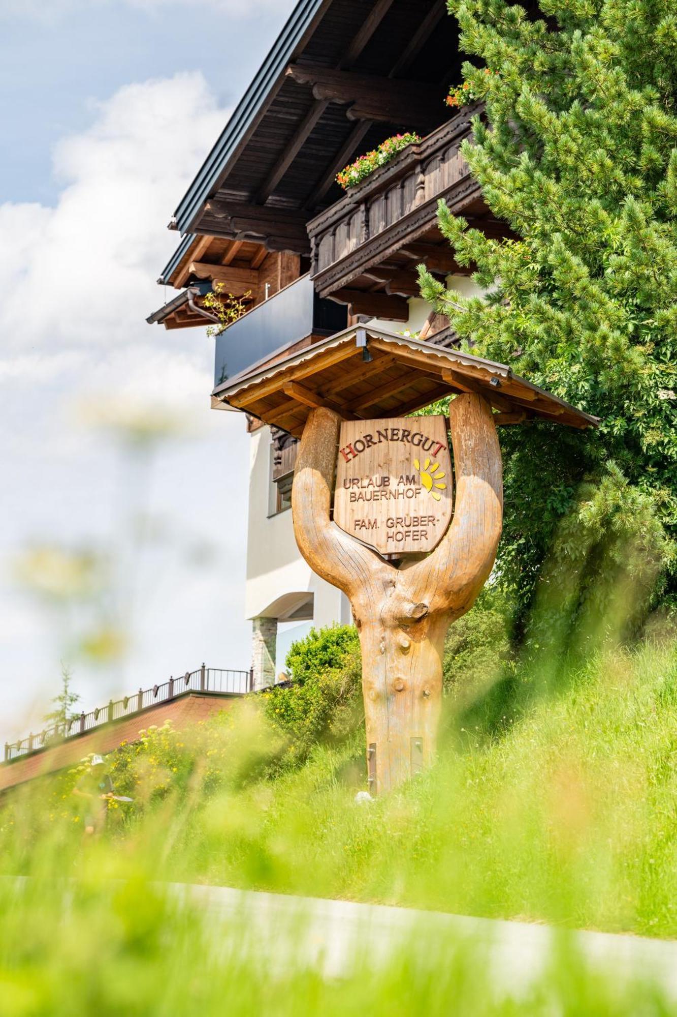Hornergut Apartment Altenmarkt im Pongau Exterior photo