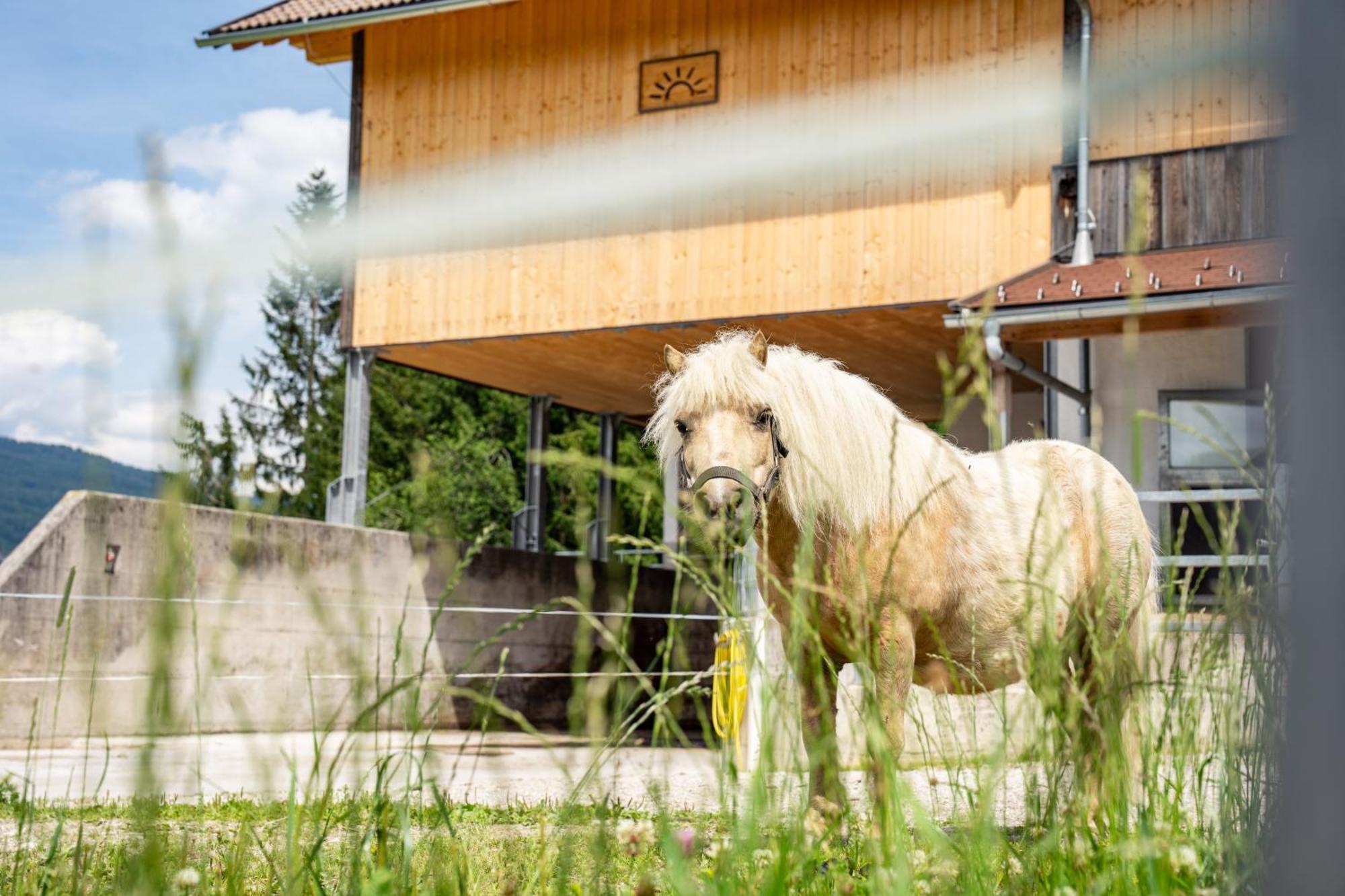 Hornergut Apartment Altenmarkt im Pongau Exterior photo