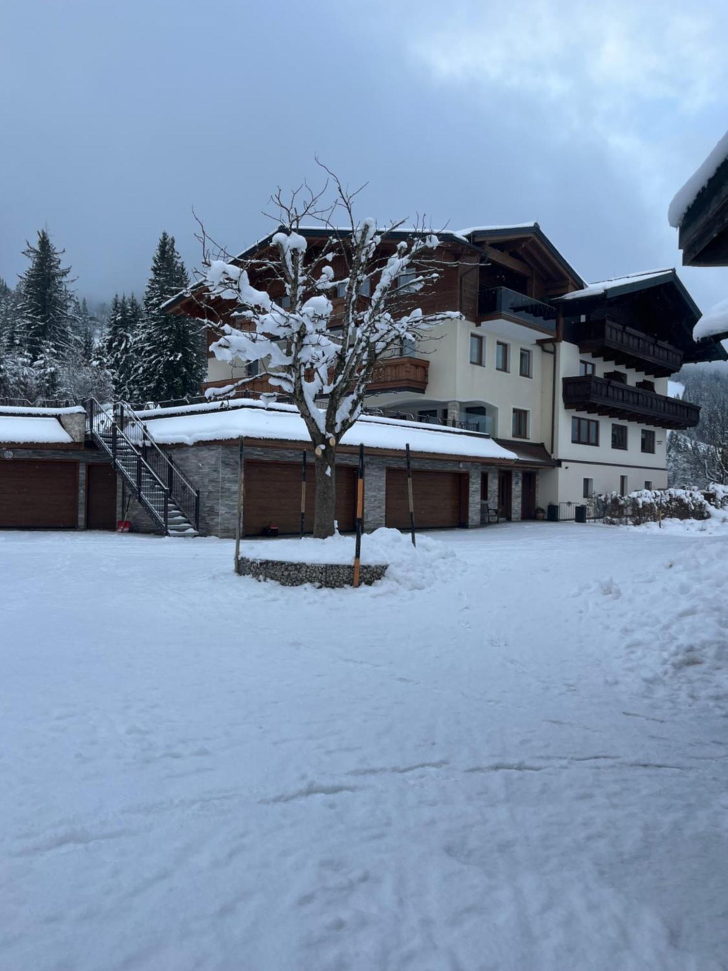 Hornergut Apartment Altenmarkt im Pongau Exterior photo