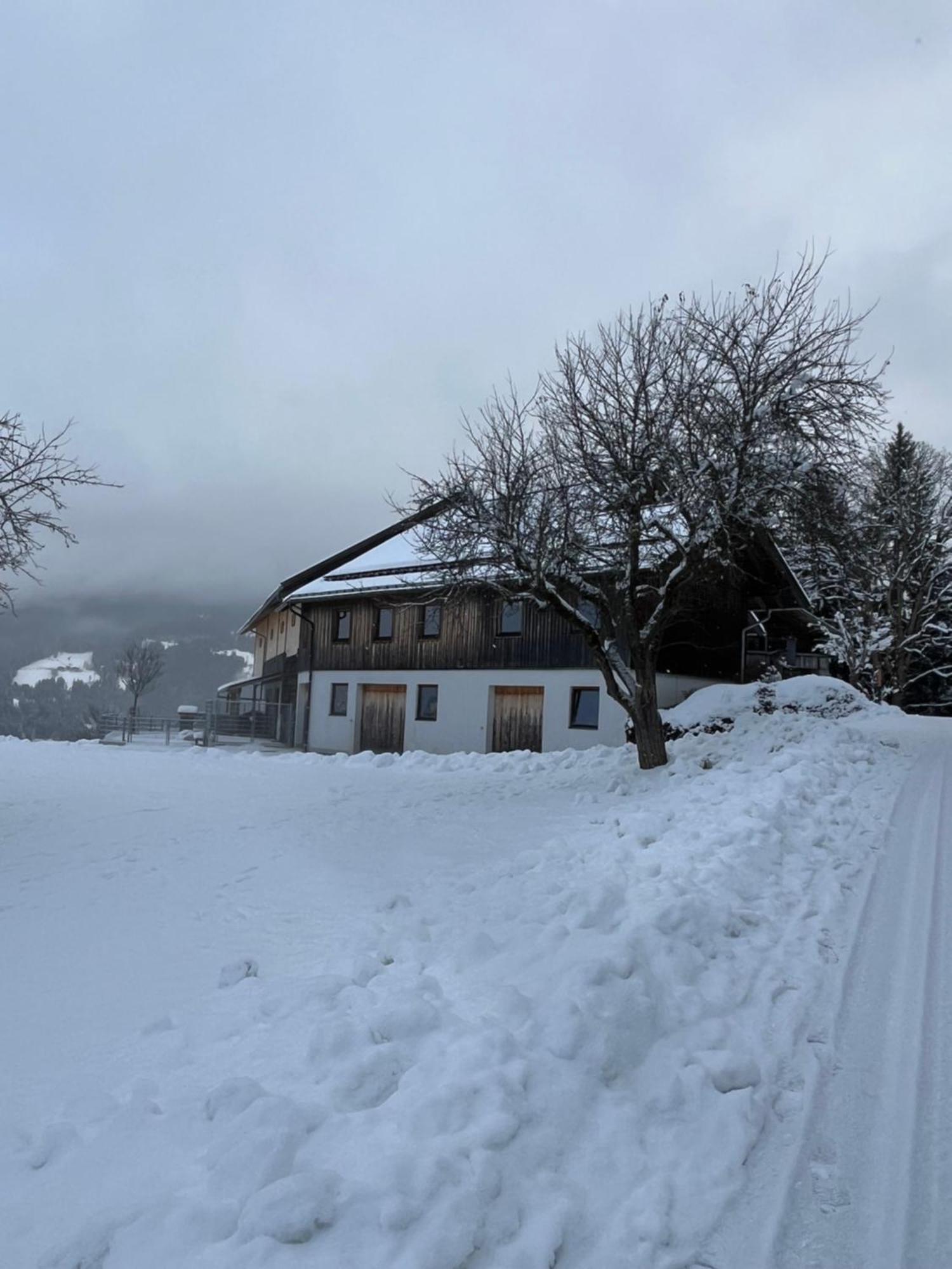 Hornergut Apartment Altenmarkt im Pongau Exterior photo