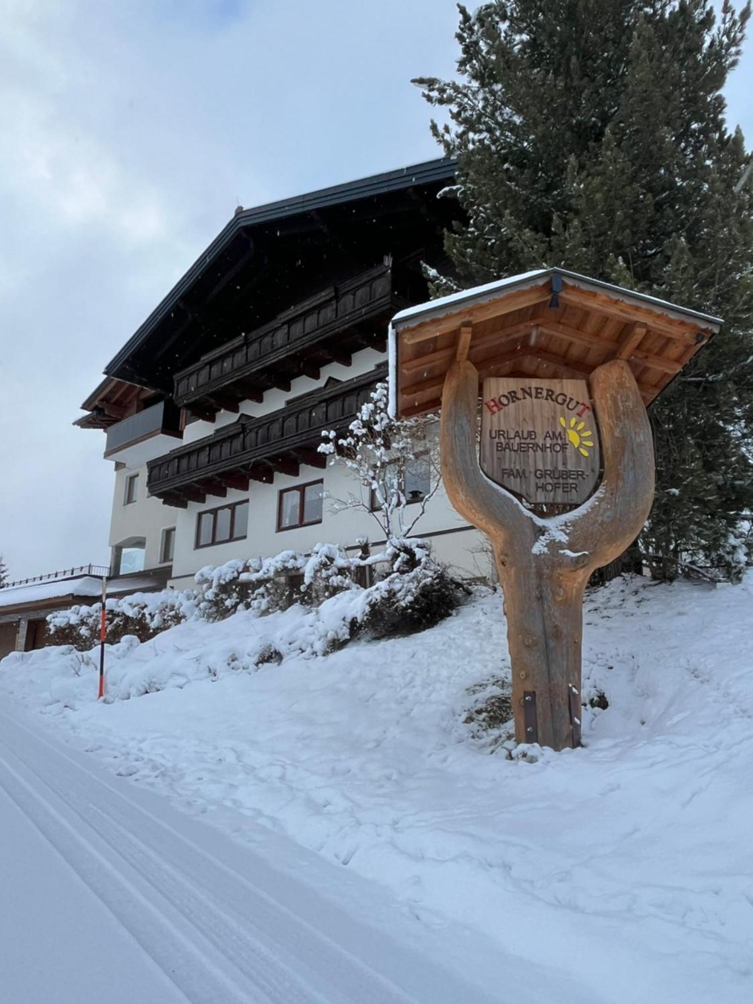 Hornergut Apartment Altenmarkt im Pongau Exterior photo